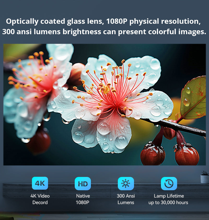 L009 LCD FULL HD Projector