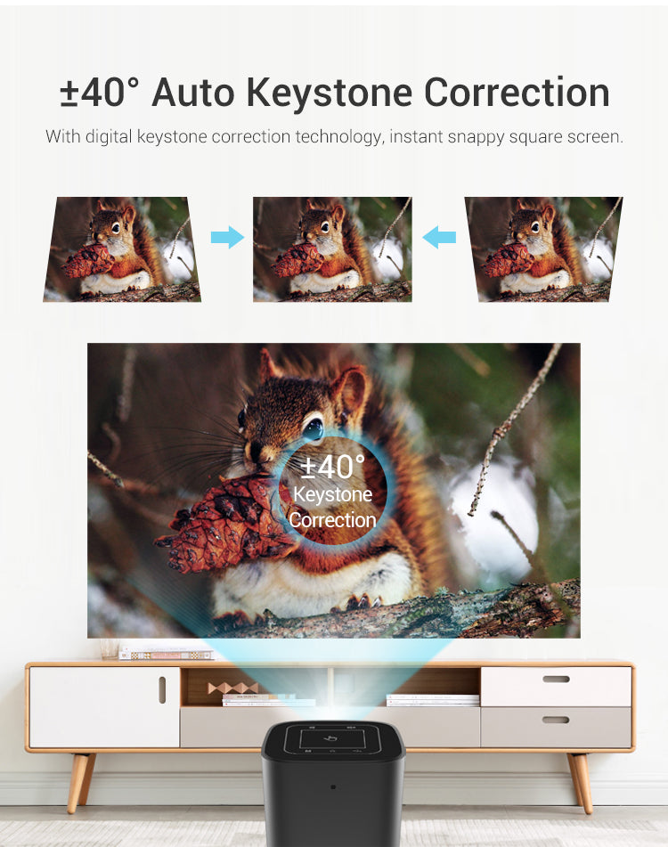 D048A Portable Projector